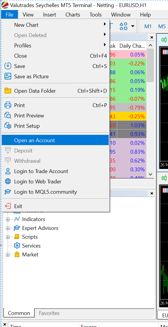 What to Do if a Server is Not Visible in the MT5 Platform during the Login Process 2.png