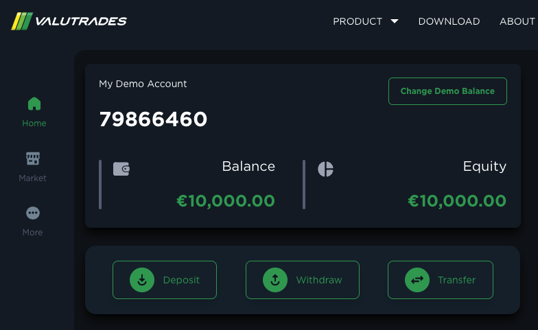 example of demo account inside client area EN.png