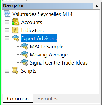 How to Install an EA on MT4 and MT5 6.png